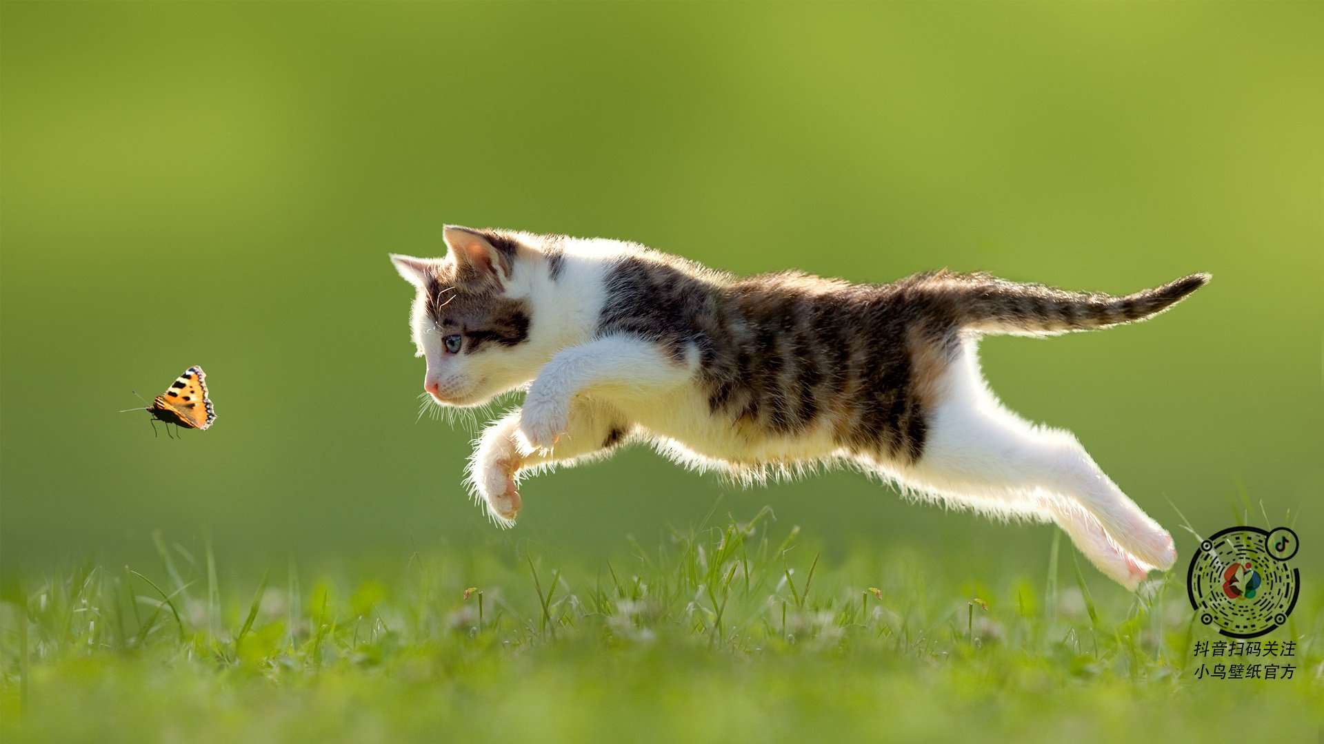 -世界青少年冰雪运动联合赛，为未来运动之星点赞，青少年冰雪运动启动