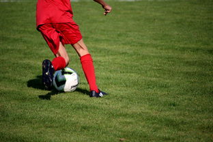 九游jiuyou-中国足球球员失误原因结构拆解模型，中国足球队谁受伤了