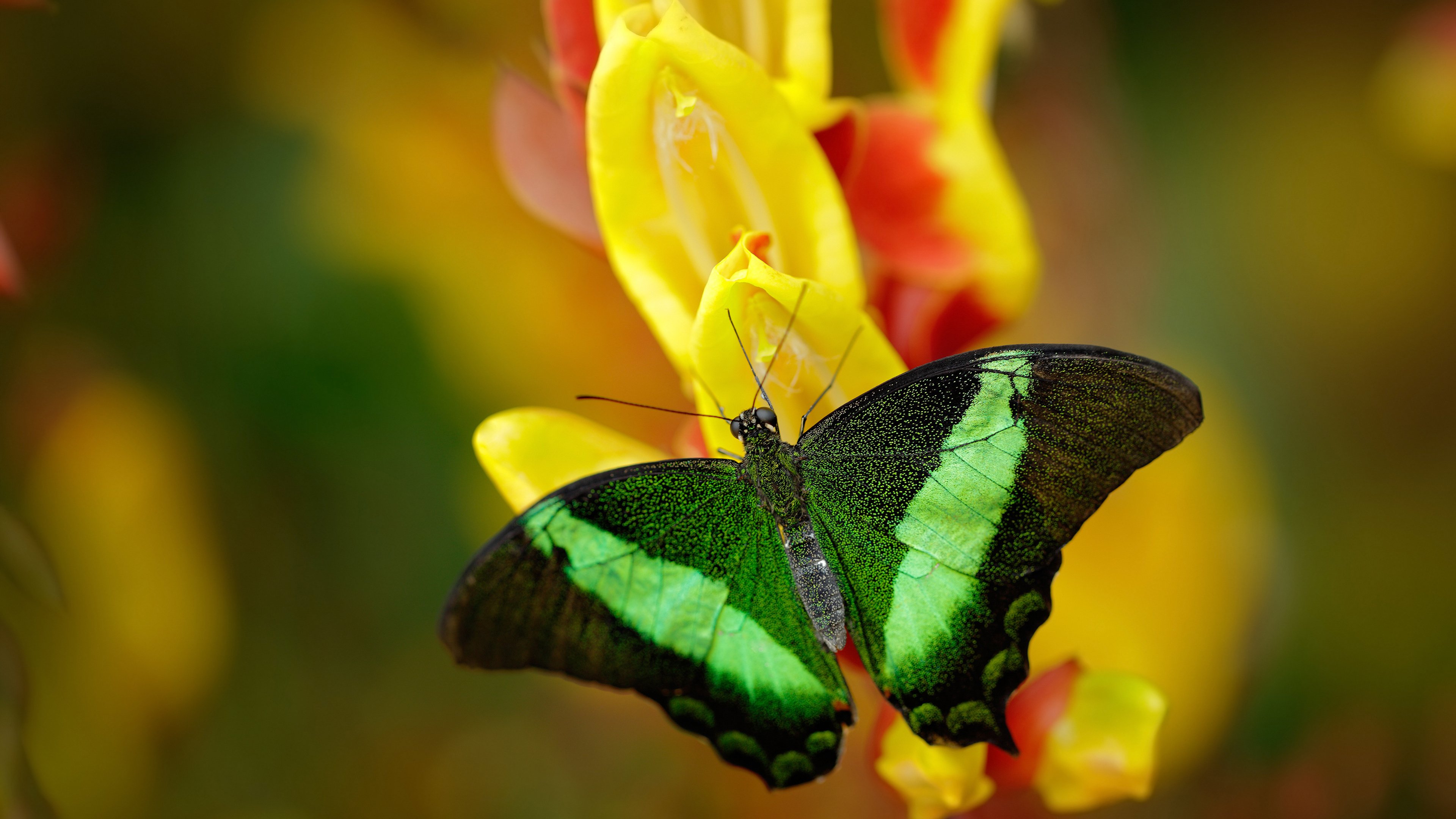 九游官网下载电脑版-中小学体育课程多样化发展,中小学体育课程开展现状 第4张 九游官网下载电脑版-中小学体育课程多样化发展,中小学体育课程开展现状 第4张