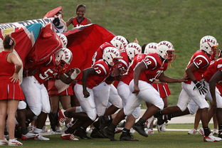 九游网页版官网-全国青少年体育摄影大赛征稿，记录青春瞬间，体育摄影比赛