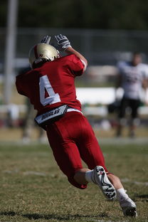 九游网页版入口-全国青少年跳水锦标赛在深圳火热进行，全国青少年跳水比赛