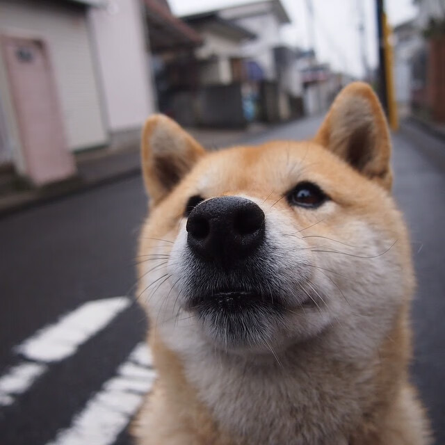 九游网-篮球运动员心理状态调节技术开发,篮球心理技能训练计划 第2张 九游网-篮球运动员心理状态调节技术开发,篮球心理技能训练计划 第2张