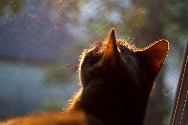 九游娱乐(jiuyou)官方网站-高效防守！分析本赛季五大联赛最佳防线，五大联赛赛季初是不是容易爆冷