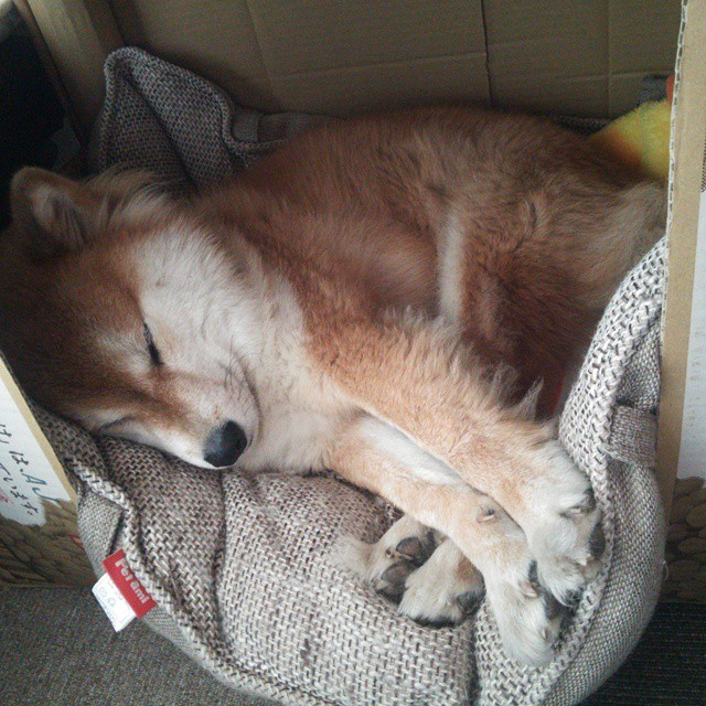 九游游戏中心官网-“2025世界运动会：武术擂台上，一招一式决胜千里”