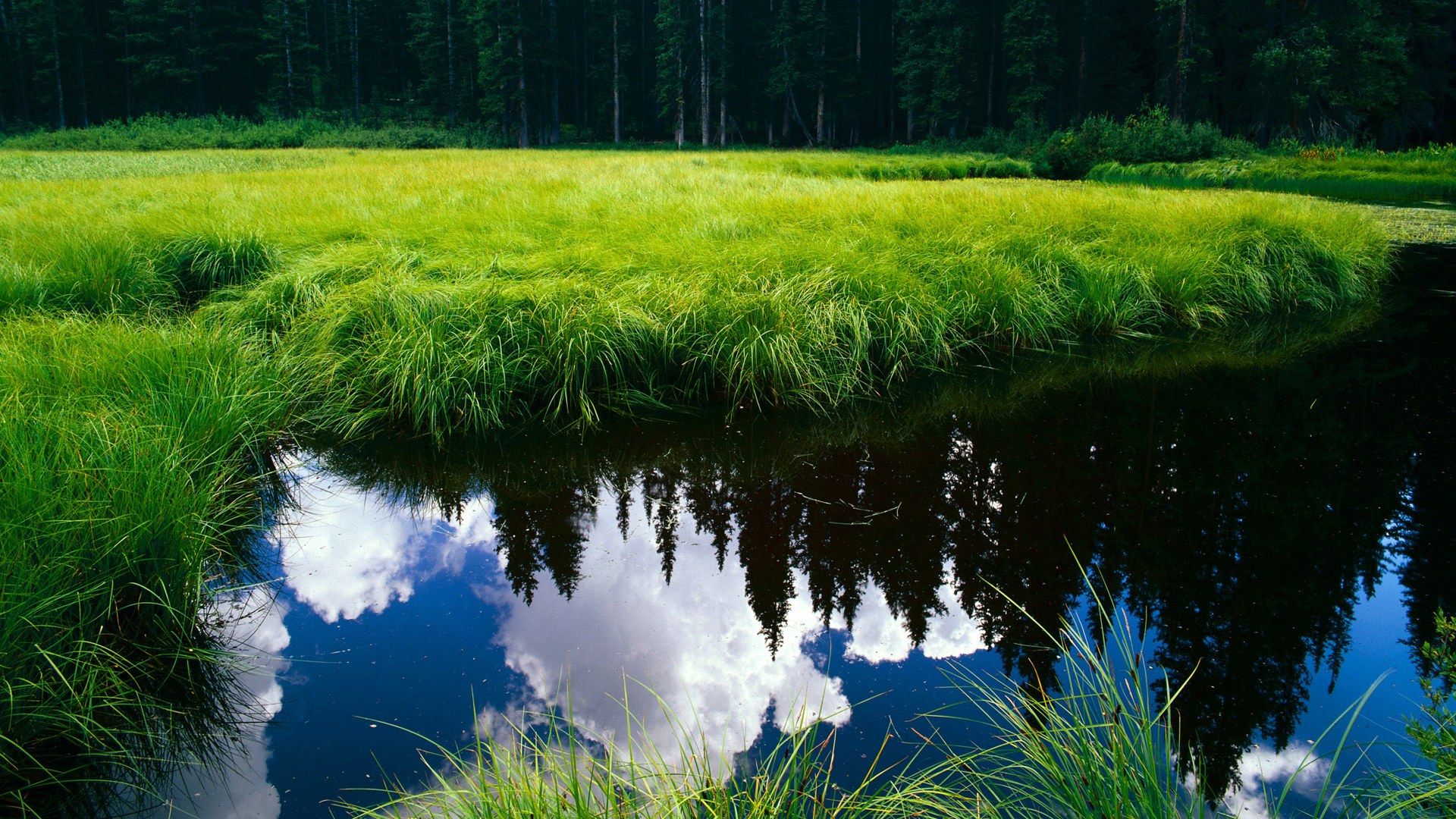 九游游戏中心官网-体育新闻中心联合平台探索体育创作者商业变现模式，体育界的新闻