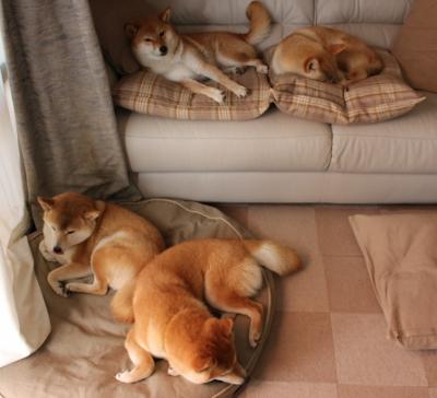 JIUYOU.COM-全新反兴奋剂系统上线，守护纯净赛场！，反兴奋剂有什么作用