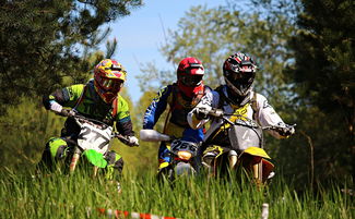 九游（jiuyou.com）游戏-印度队未来发展：从本土赛事到世界级竞技平台的蜕变，印度参赛人员