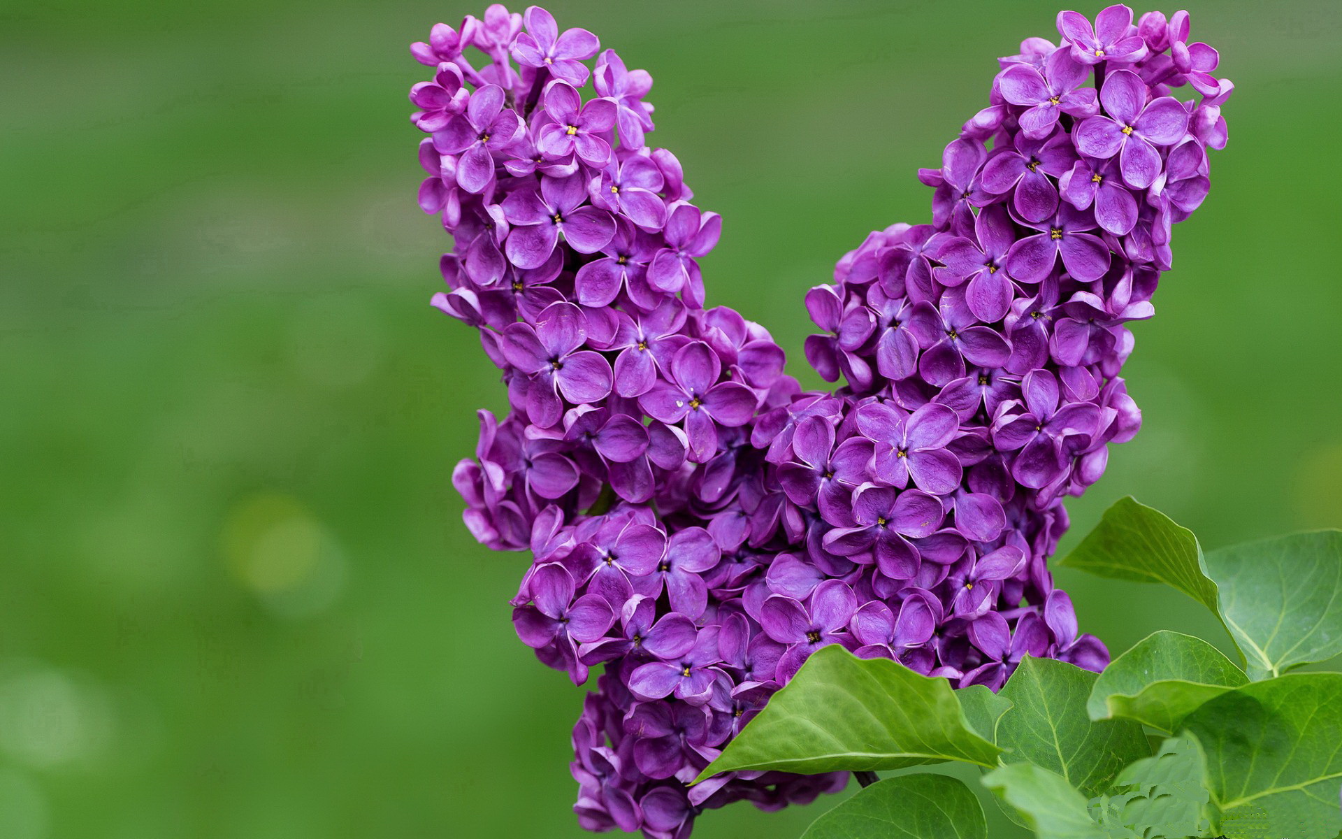 九游游戏中心官网-国家女篮注重场上执行纪律防守态度积极，女篮形式