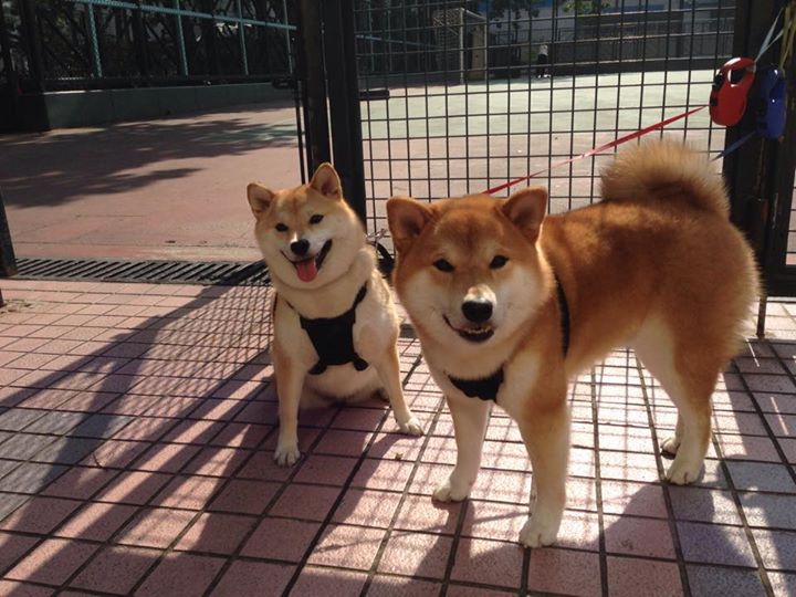 九游官网下载电脑版-奥预赛中国青年队晋级 球员磨合效果显著，中国国家队青年队