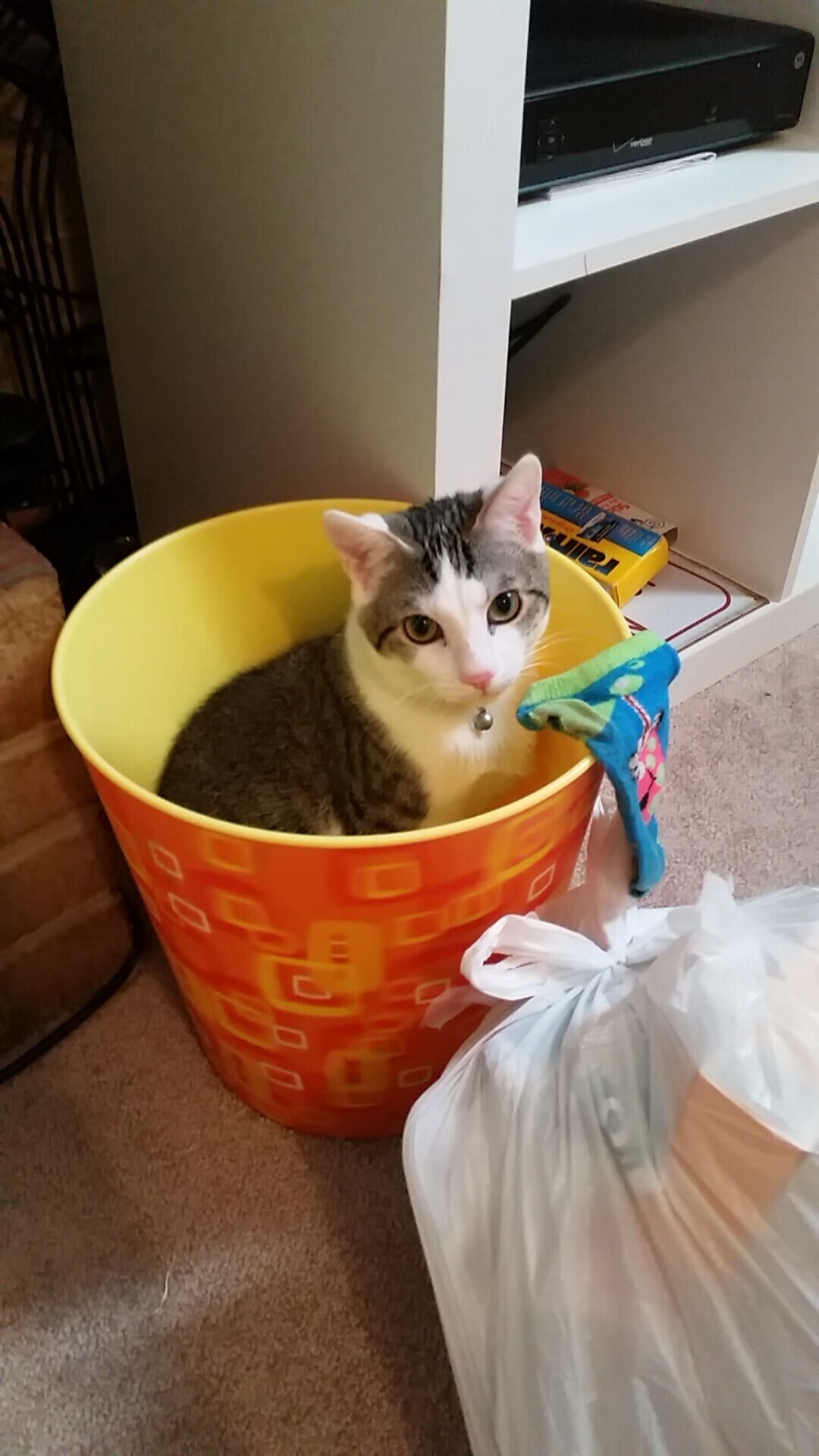 九游app下载中心-新疆男篮积极转型以快节奏篮球为核心打法，新疆男篮新疆男篮