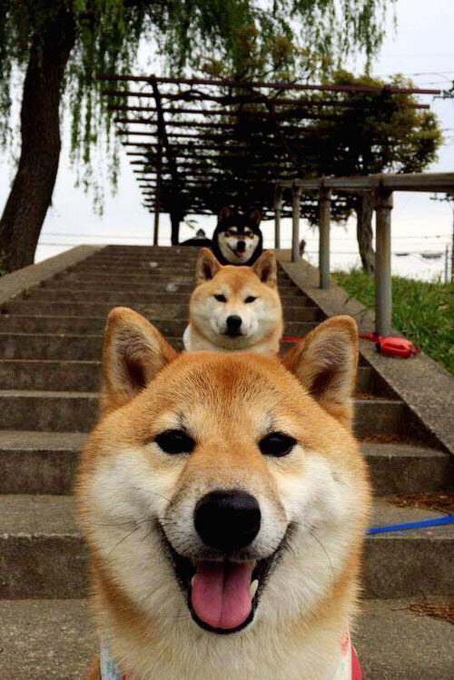 九游9游-节奏切换能力是否应成为选秀重点指标，节奏改变