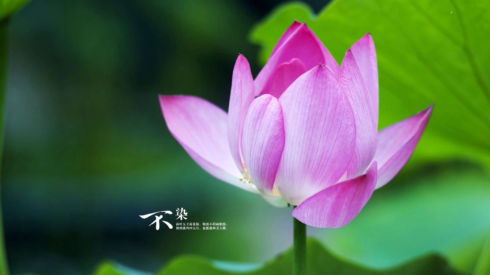 JIUYOU.COM-蒙彼利埃加强中路渗透制造射门机会，蒙彼利埃值得练吗