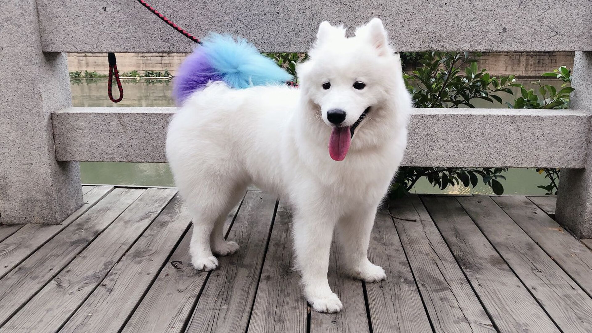 JIUYOU.COM-门将控场能力是否成为现代五大联赛球队首选标准，门将gk