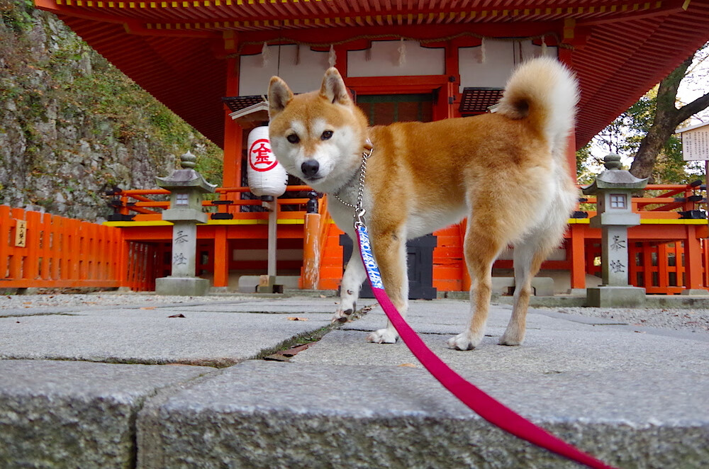 九游娱乐官网 (JIUYOU)-青训球员生活管理是否影响技战术训练，青训对足球的重要性
