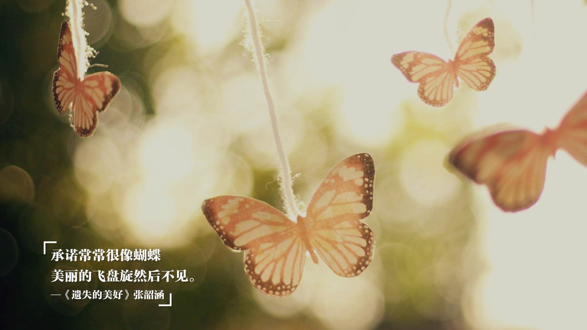 九游娱乐官网 (jiuyou)-“华金·托比利亚的全能防守与强大领导力，成为美洲狮队的战术支柱”