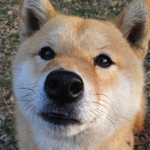 九游(jiuyou)官方网站-中国篮球支持跨界合作发展运动潮流文化，中国篮球需要怎样去发展