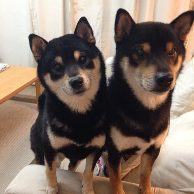 九游下载官网-中国足球国家队守门员技术专项训练取得突破，中国足球国家队守门员全部