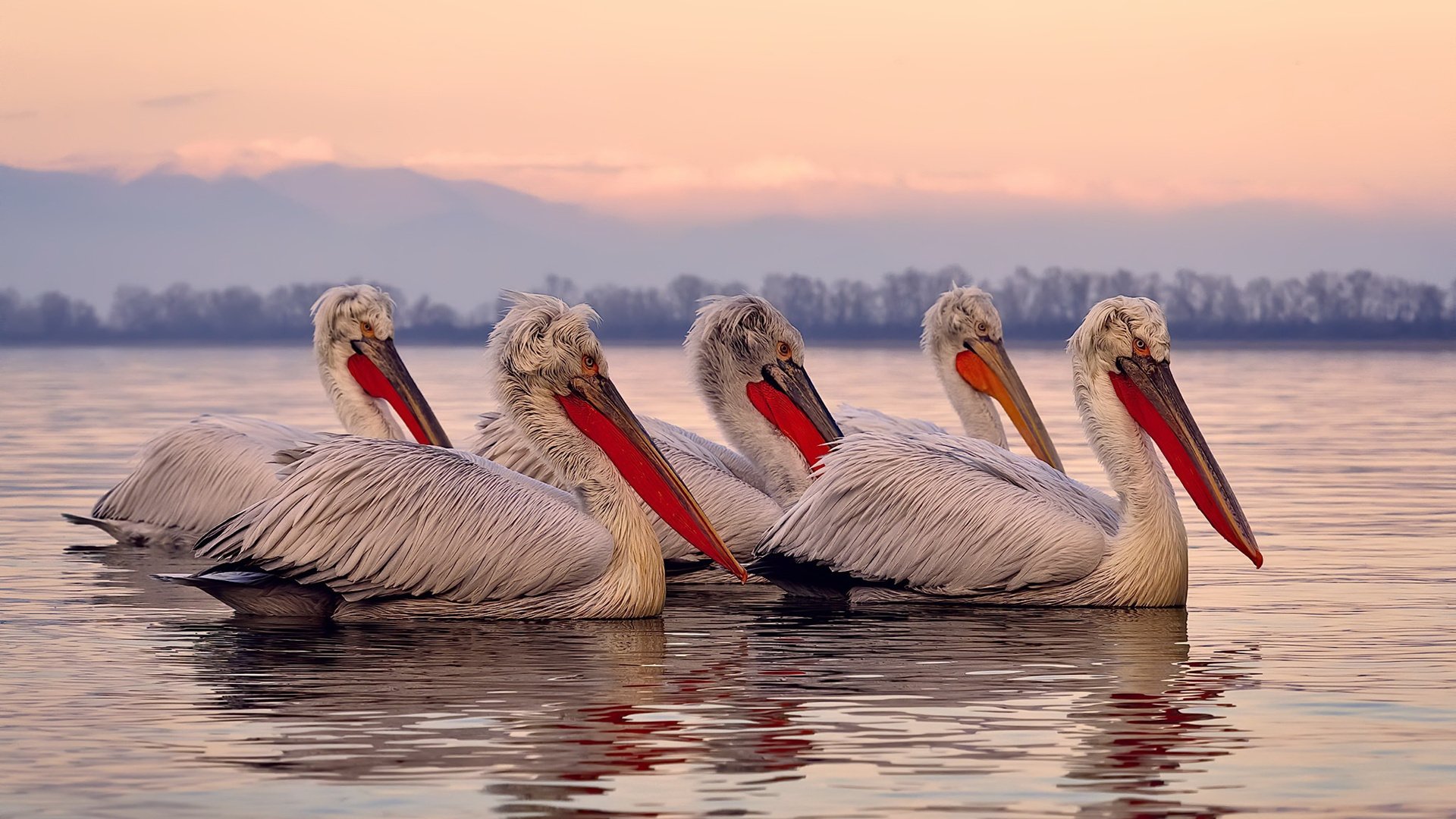 JIU YOU GAME-体育新闻中心风云人物榜单，体育新闻官网