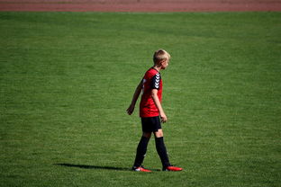 -勇士训练时长延长球员投入度高，勇士训练短袖