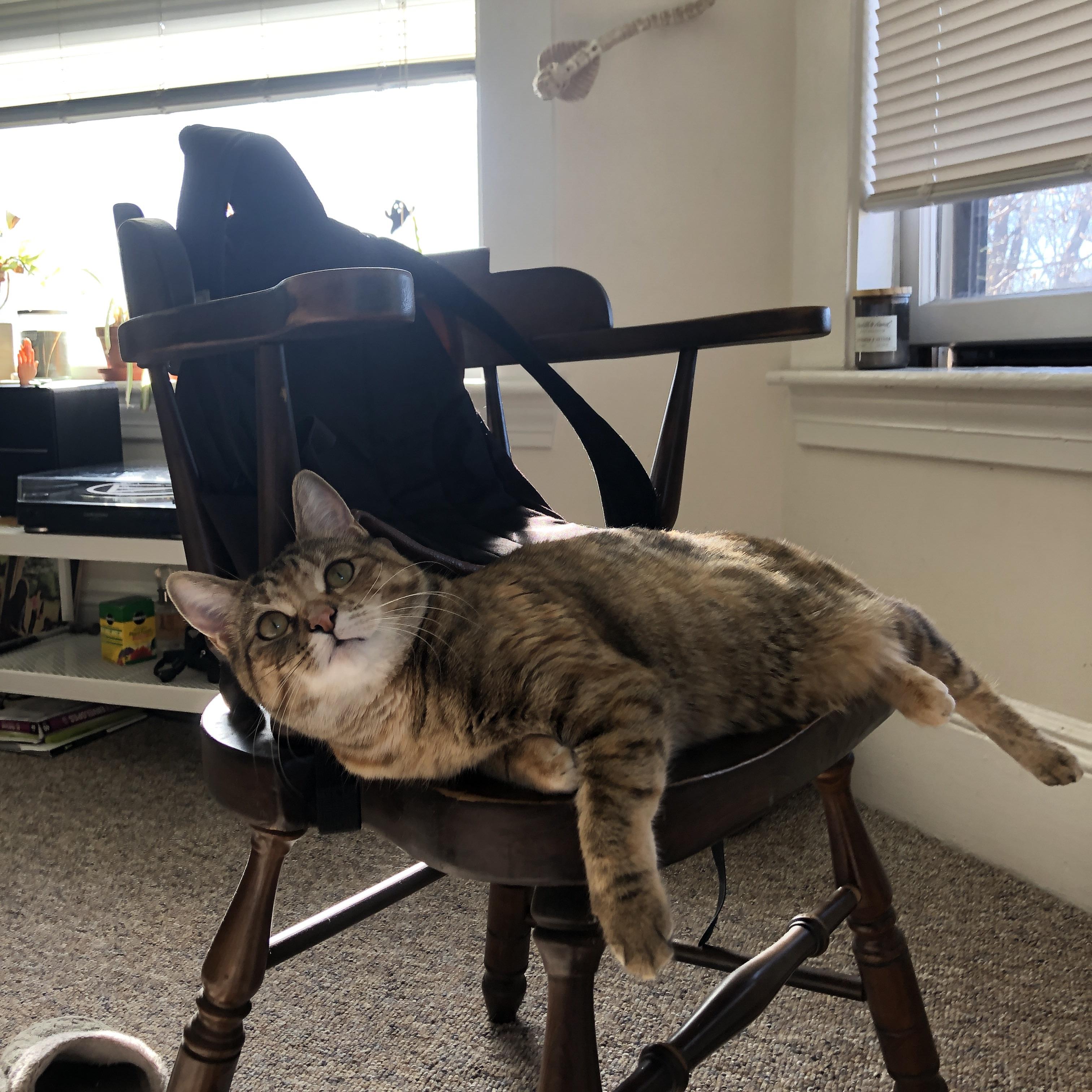 九游官网下载电脑版-德甲前锋冲击金靴榜，射手之争白热化，德甲金靴小钢炮