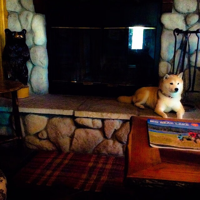 九游-德甲速度狂飙：突击瞬间点燃战局！，德甲速度最快现役球员