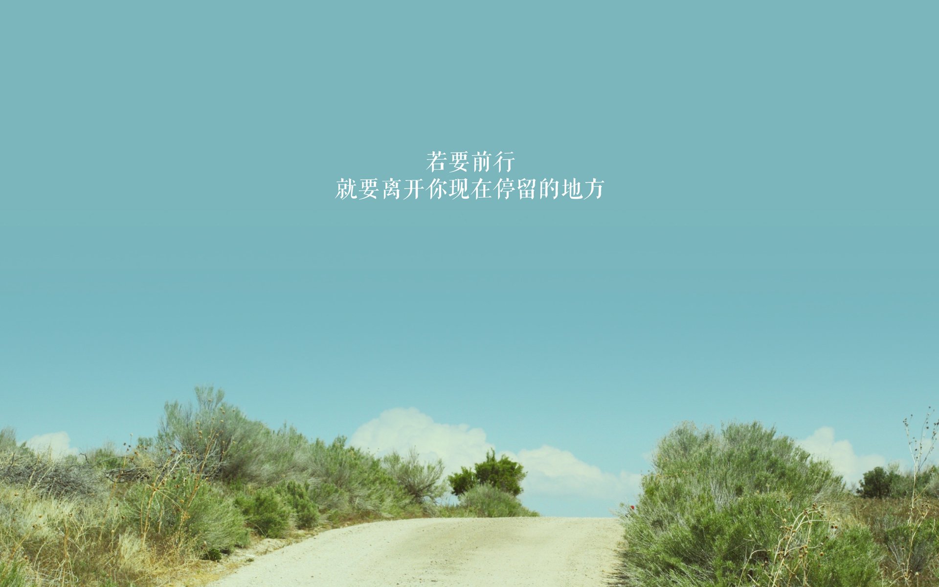 九游用户空间-新西兰橄榄球：国际赛事中依旧是最具看点的球队，新西兰橄榄球和美国哪个厉害