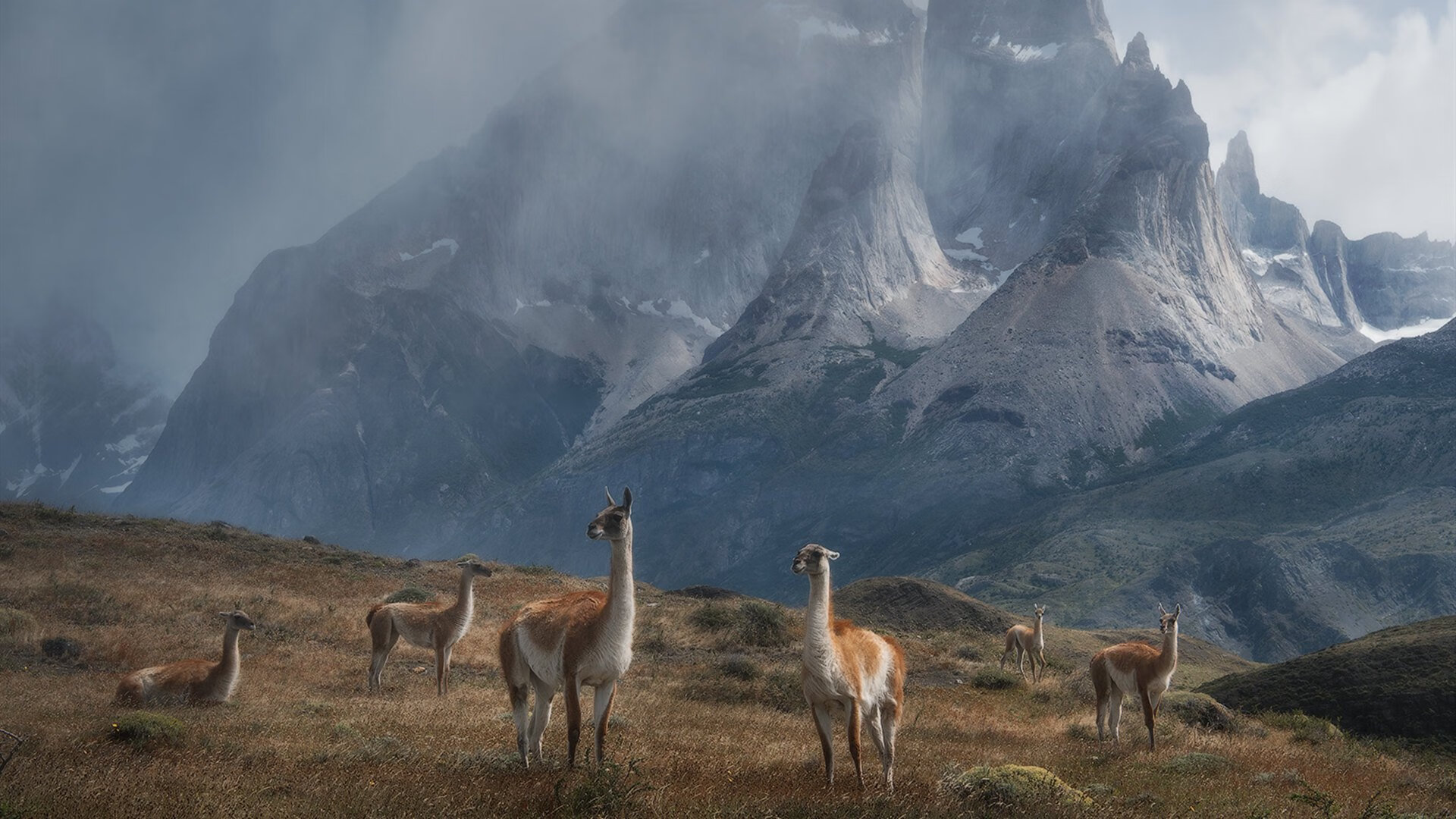 九游APP官网-英超冠军悬念：胜负只在毫厘之间！，英超冠军2020-2021