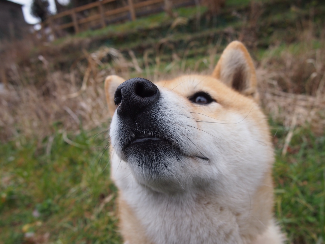 -青少年橄榄球项目加速推广，青少年玩橄榄球的好处