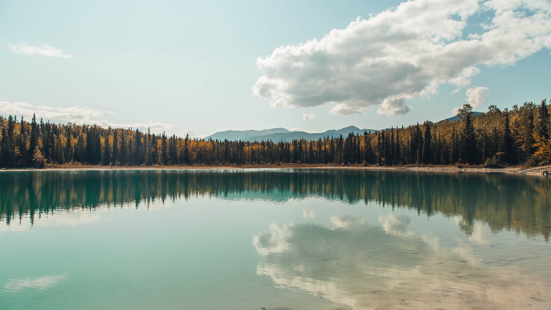 九游登录中心-中国篮球退役运动员社会就业与角色转换挑战，篮球运动员退役之后干什么