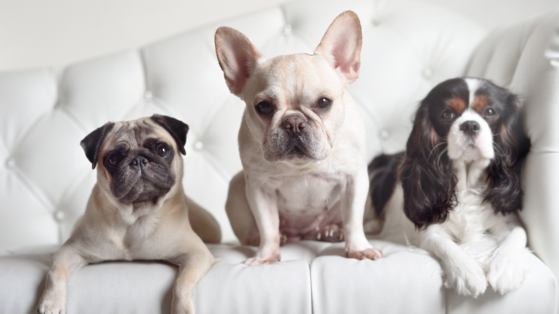 九游正版入口-中国足球国家队积极参与国际足球交流，国足邀请